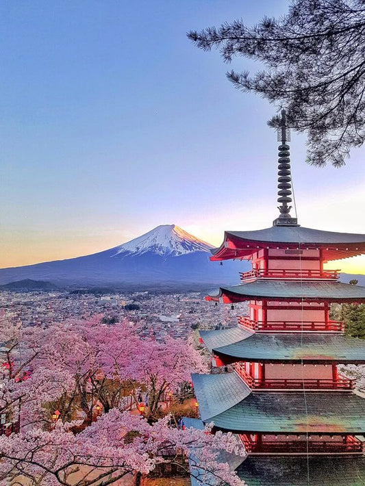 Ikonic Travels Korea & Japan 2027 Group Trip – Full Package Deposit (Flights Included | 12 Days Summer Experience)